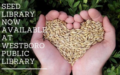 Explore your Seed Library!